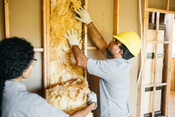 Best Eco-Friendly or Green Insulation Solutions  in Shorewood Forest, IN